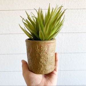 Pottery barn faux plant